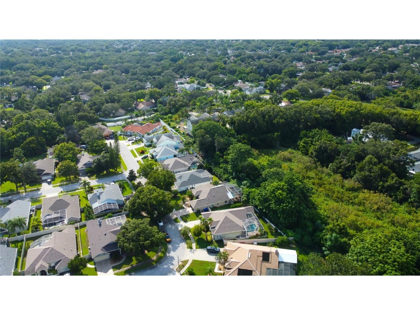 2379 Azalea Drive Palm Harbor FL 34683 TB8421973 image62