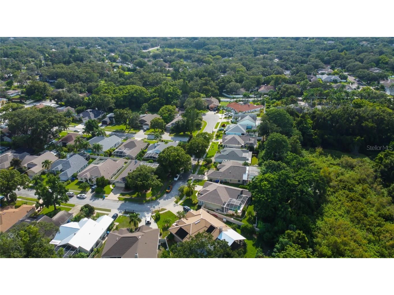 2379 Azalea Drive Palm Harbor FL 34683 TB8421973 image63