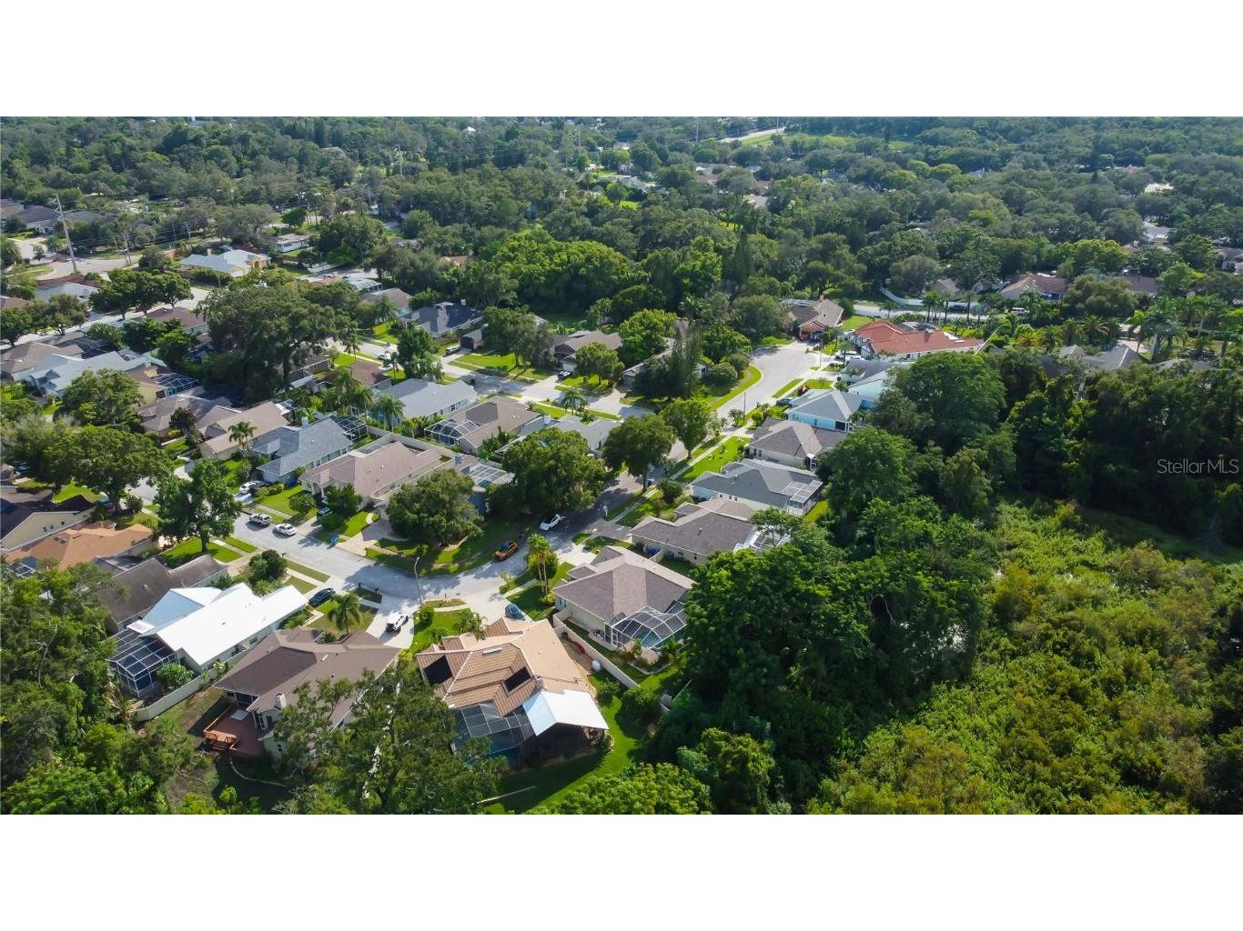 2379 Azalea Drive Palm Harbor FL 34683 TB8421973 image64