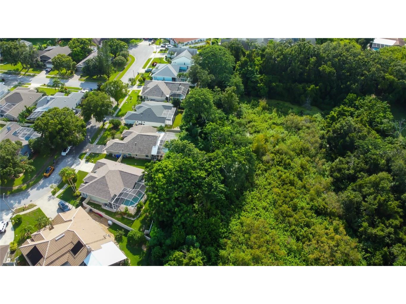 2379 Azalea Drive Palm Harbor FL 34683 TB8421973 image65