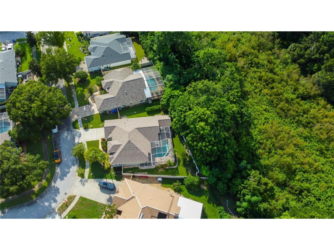 2379 Azalea Drive Palm Harbor FL 34683 TB8421973 image66