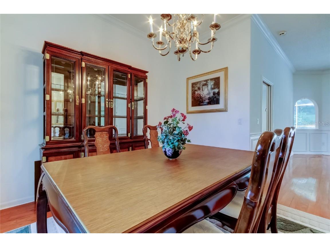 2379 Azalea Drive Palm Harbor FL 34683 TB8421973 image7