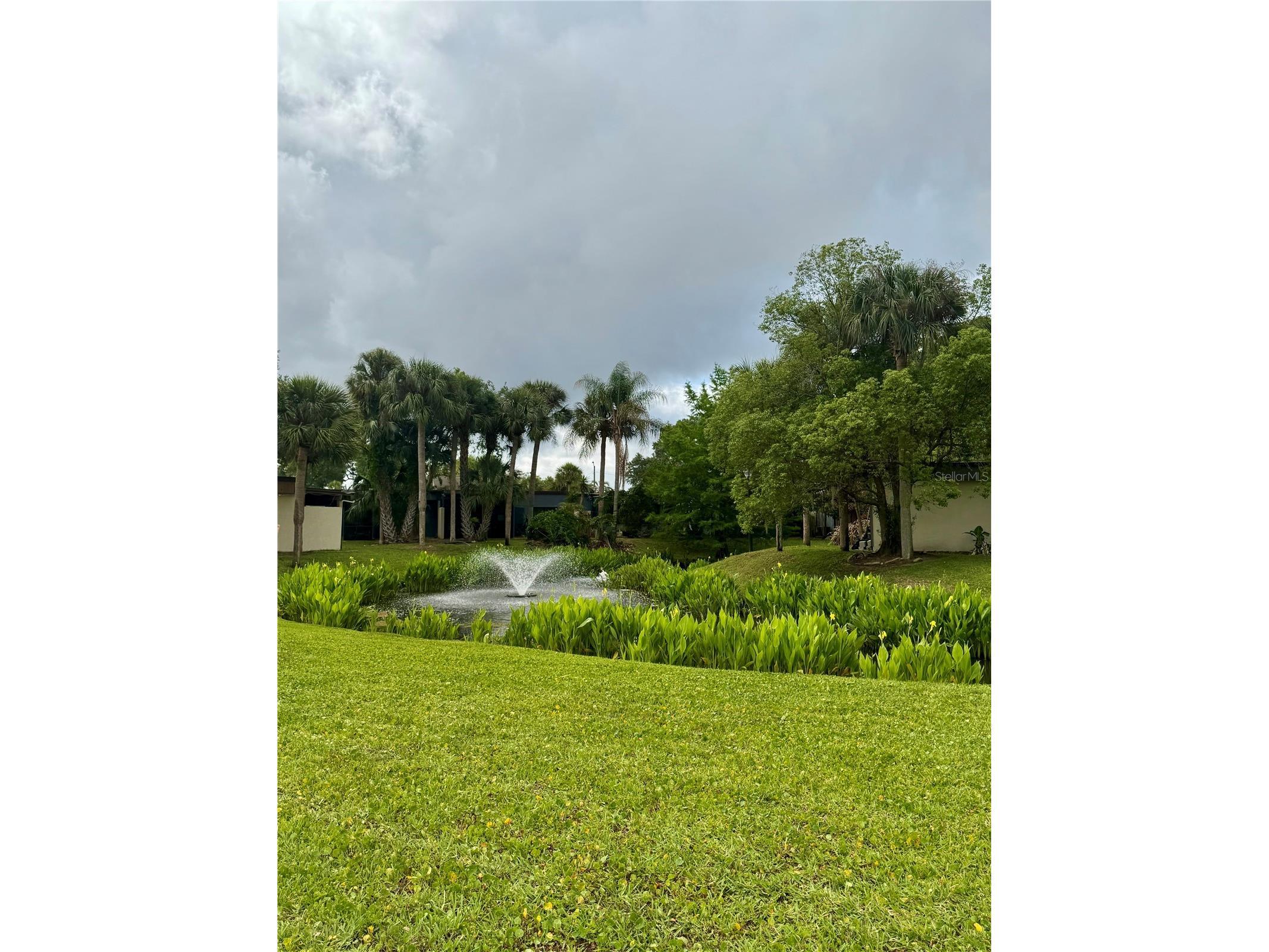 2379 Flamingo Way Winter Park FL 32792 O6402772 image24