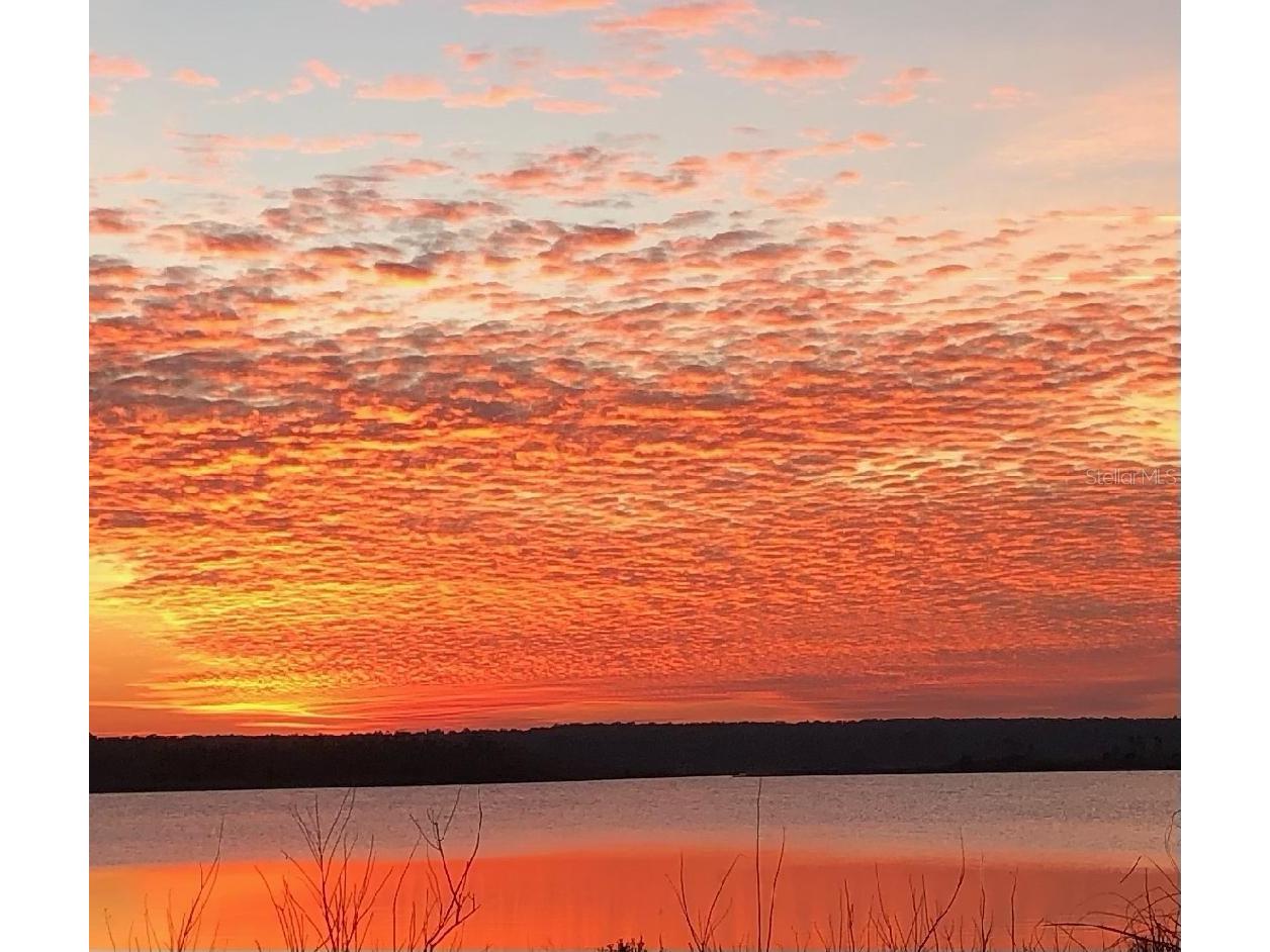 23797 NE 189th Street Fort Mc Coy FL 32134 - LAKE DELANCY OM722214 image1