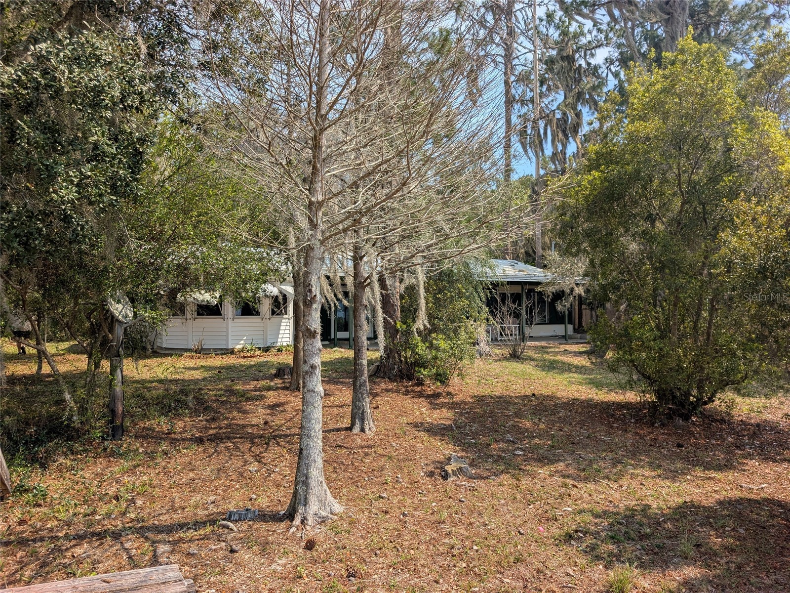23797 NE 189th Street Fort Mc Coy FL 32134 - LAKE DELANCY OM722214 image100