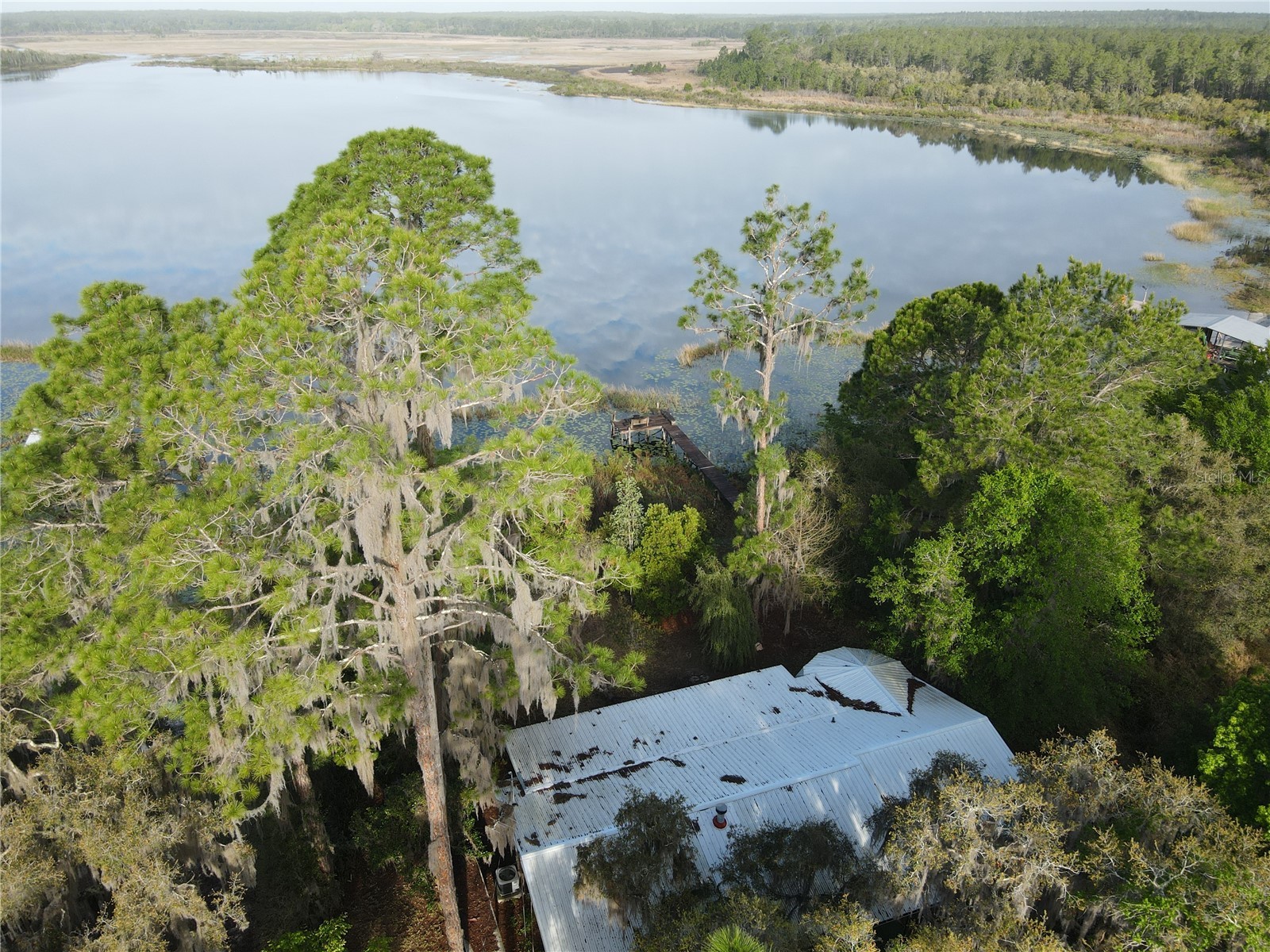 23797 NE 189th Street Fort Mc Coy FL 32134 - LAKE DELANCY OM722214 image12