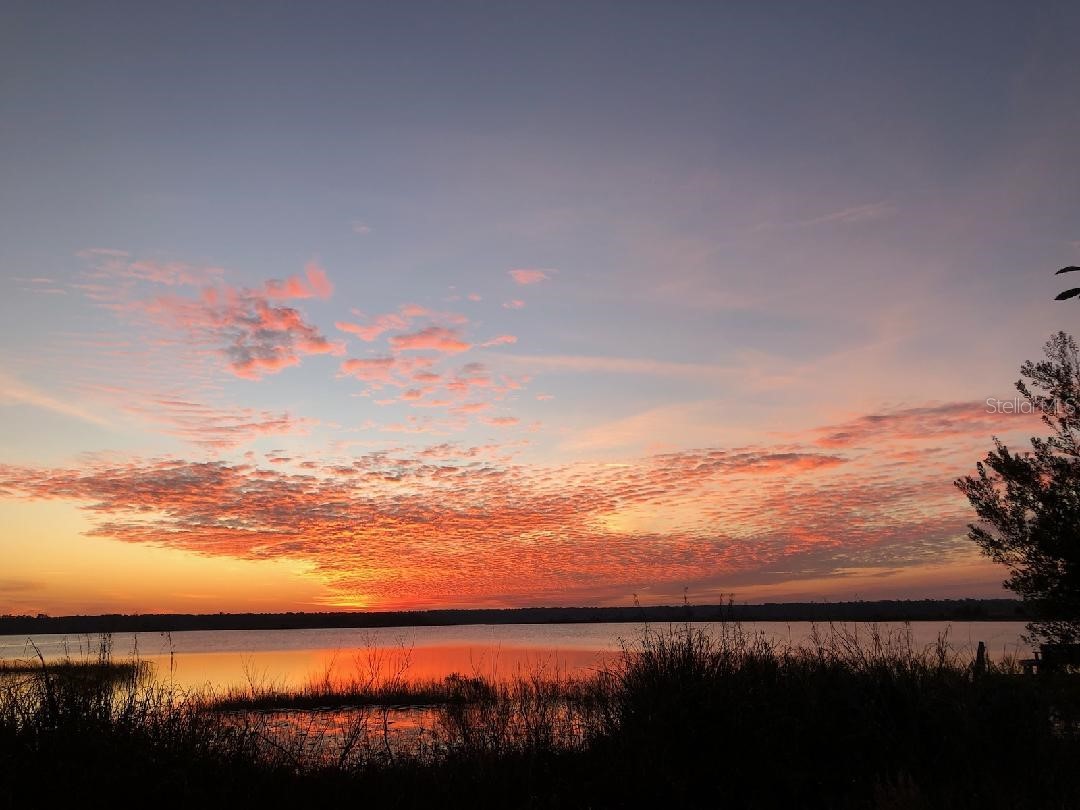 23797 NE 189th Street Fort Mc Coy FL 32134 - LAKE DELANCY OM722214 image3