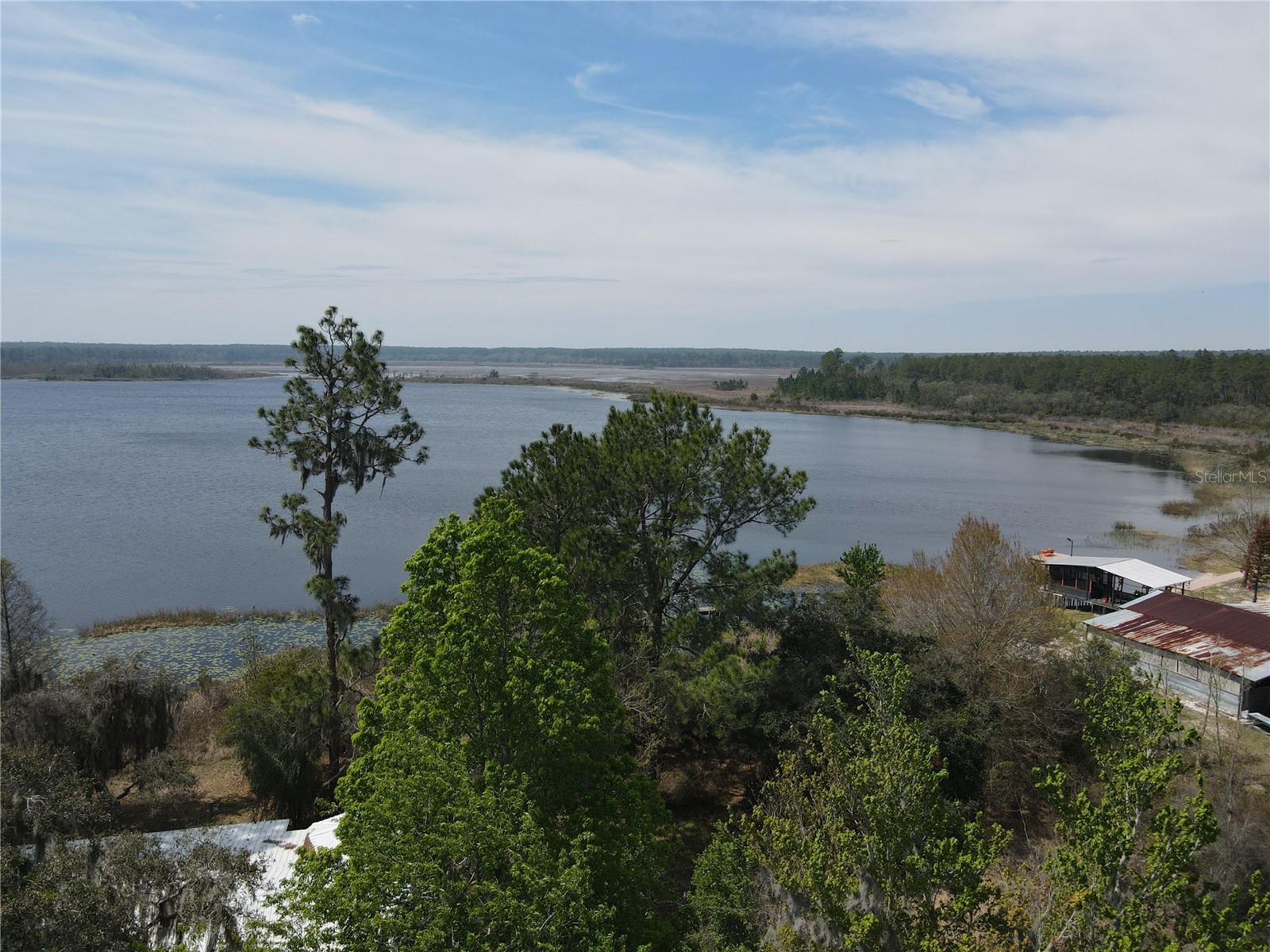 23797 NE 189th Street Fort Mc Coy FL 32134 - LAKE DELANCY OM722214 image4