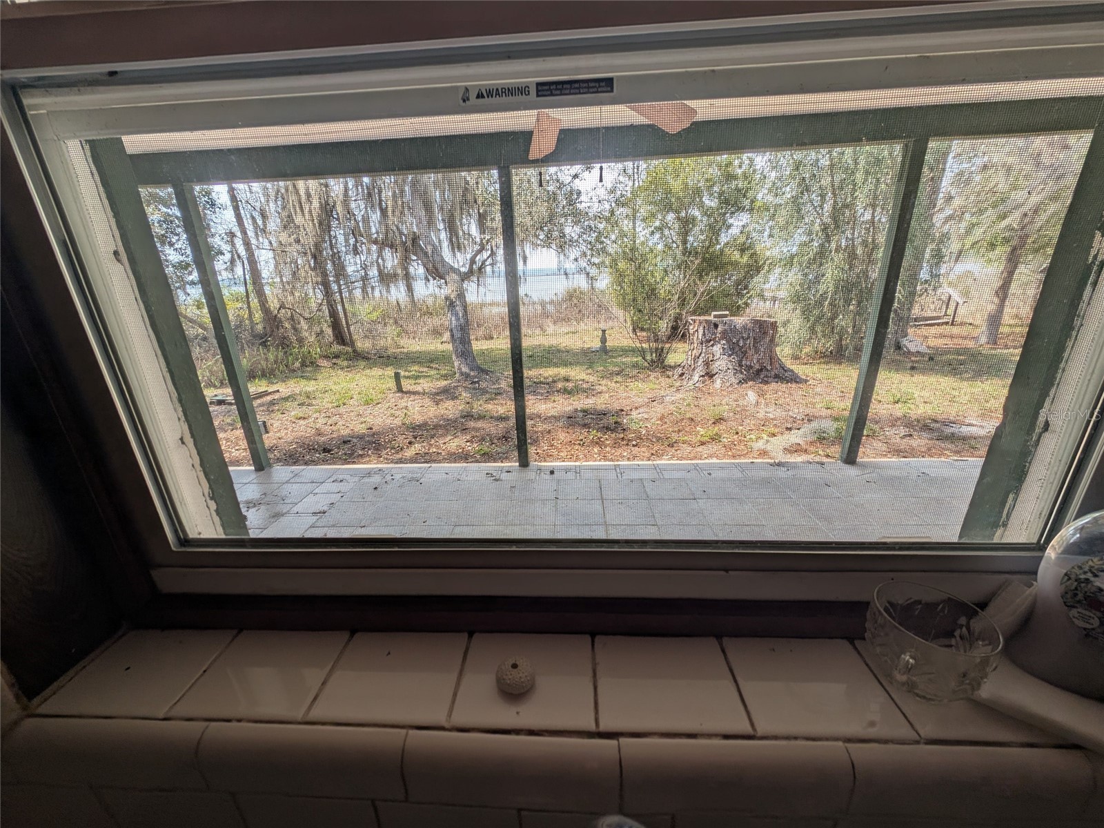 23797 NE 189th Street Fort Mc Coy FL 32134 - LAKE DELANCY OM722214 image59