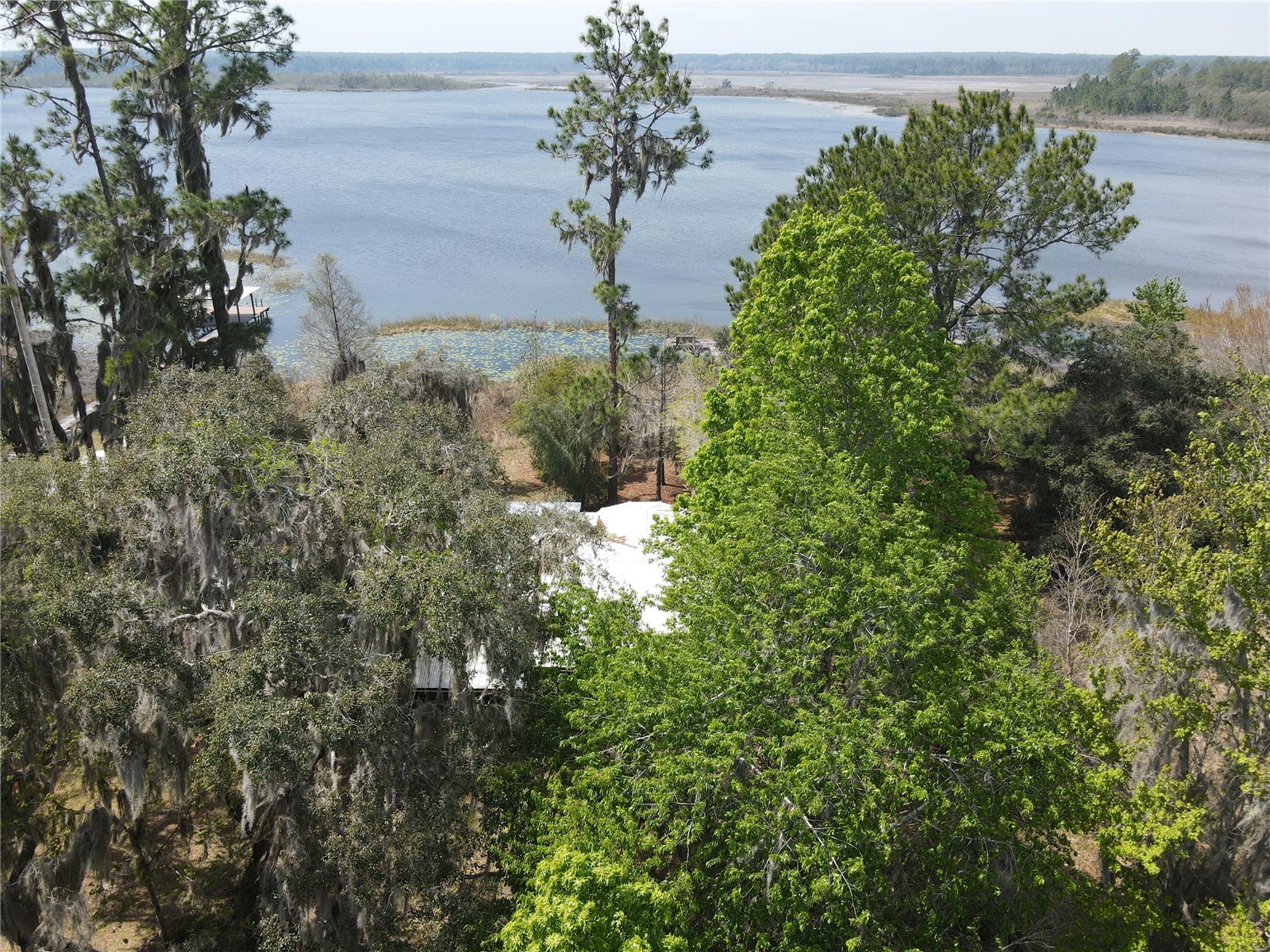 23797 NE 189th Street Fort Mc Coy FL 32134 - LAKE DELANCY OM722214 image6