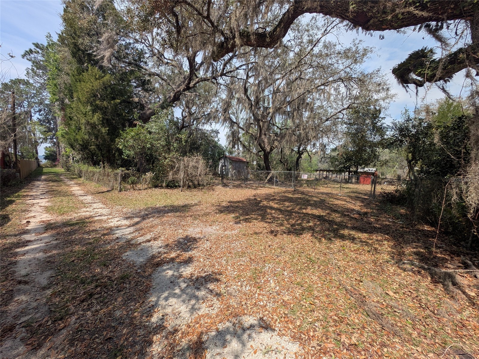 23797 NE 189th Street Fort Mc Coy FL 32134 - LAKE DELANCY OM722214 image63