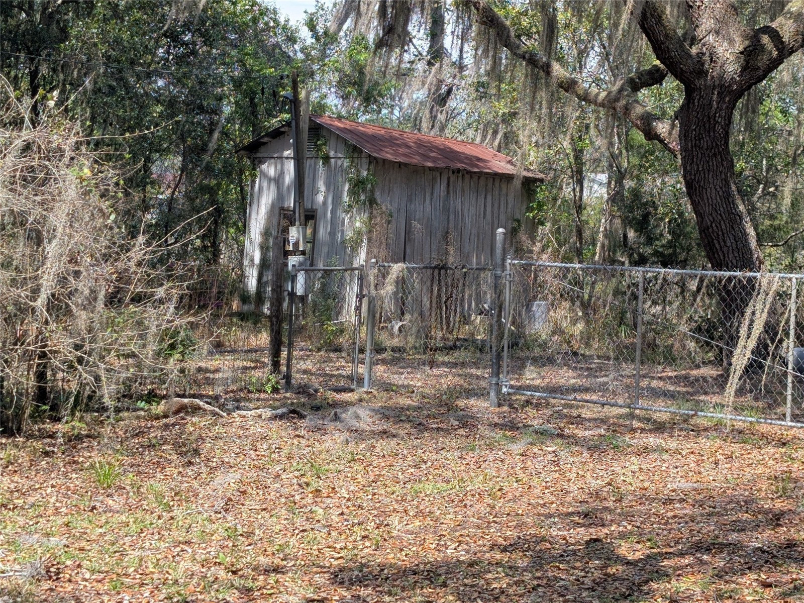 23797 NE 189th Street Fort Mc Coy FL 32134 - LAKE DELANCY OM722214 image64