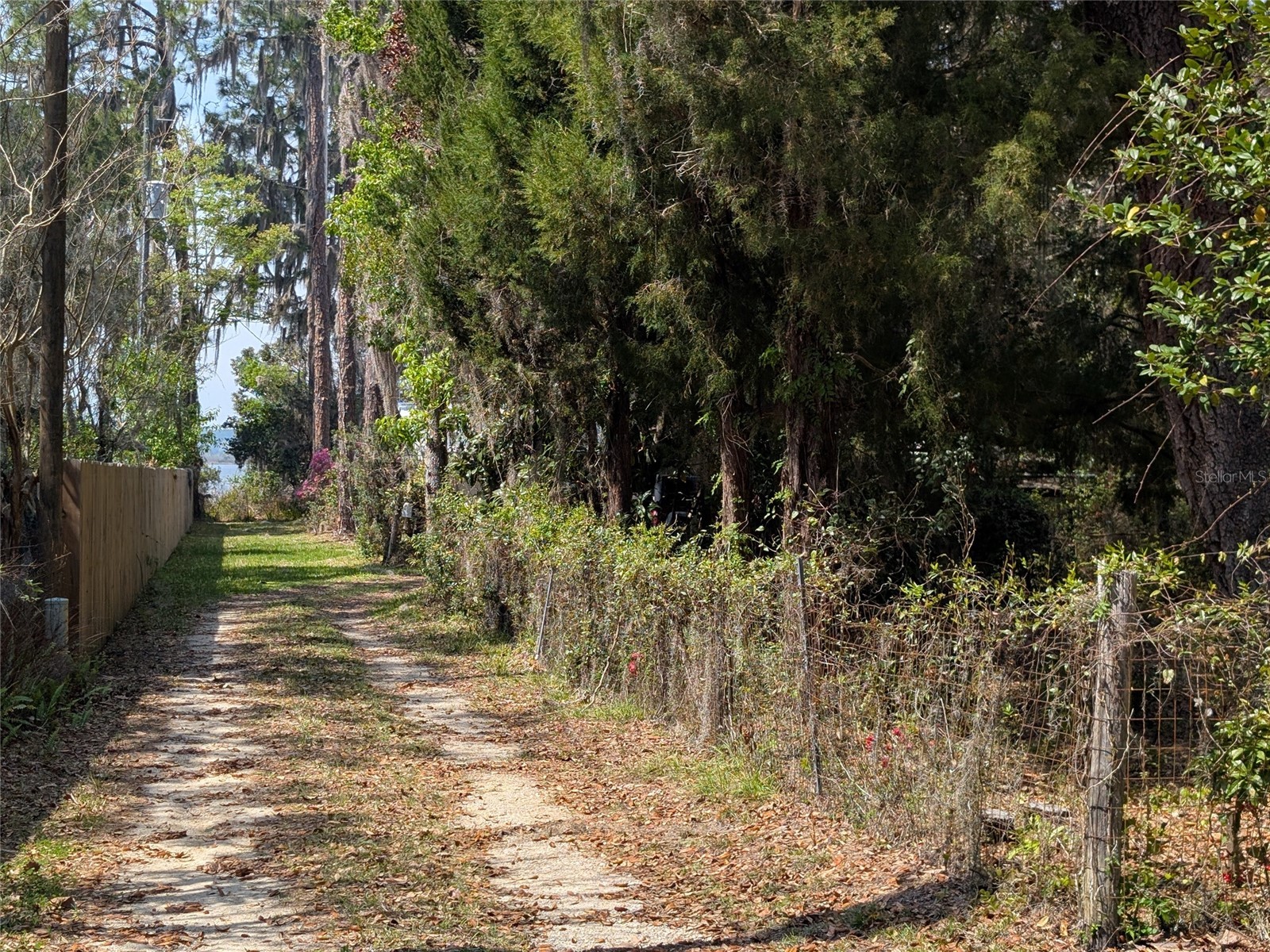 23797 NE 189th Street Fort Mc Coy FL 32134 - LAKE DELANCY OM722214 image66