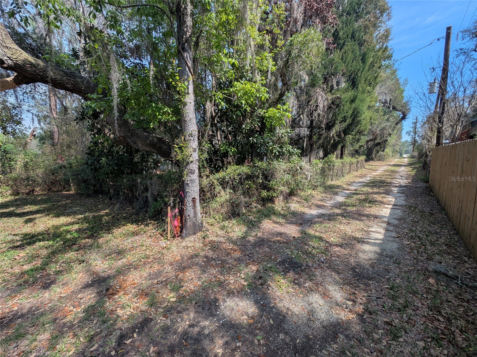 23797 NE 189th Street Fort Mc Coy FL 32134 - LAKE DELANCY OM722214 image69