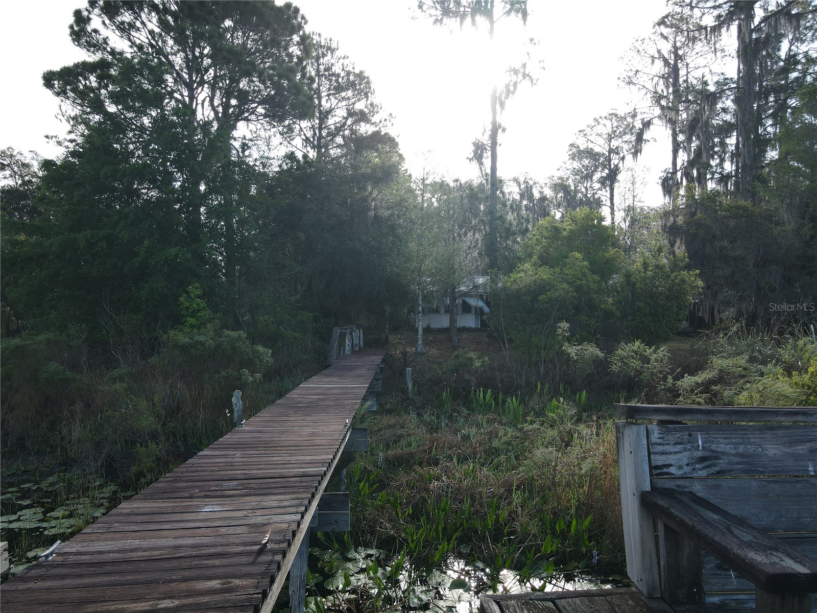 23797 NE 189th Street Fort Mc Coy FL 32134 - LAKE DELANCY OM722214 image81