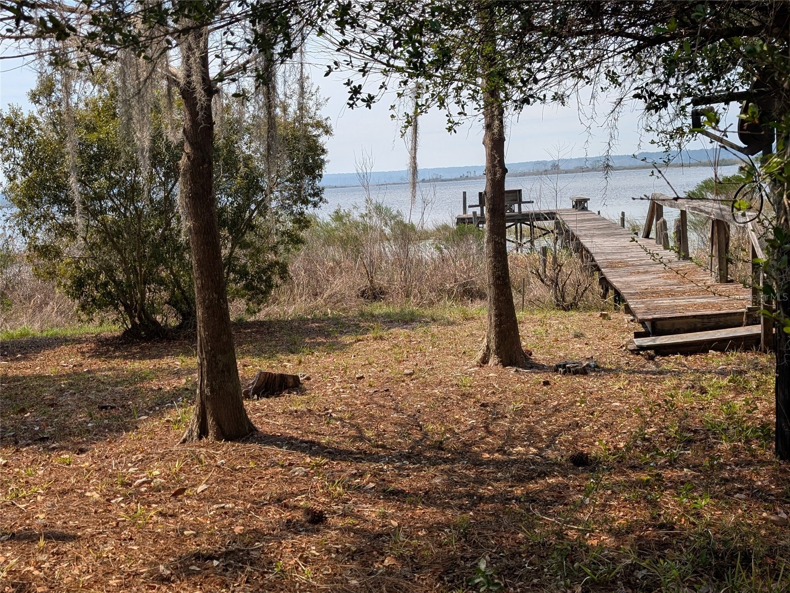 23797 NE 189th Street Fort Mc Coy FL 32134 - LAKE DELANCY OM722214 image82