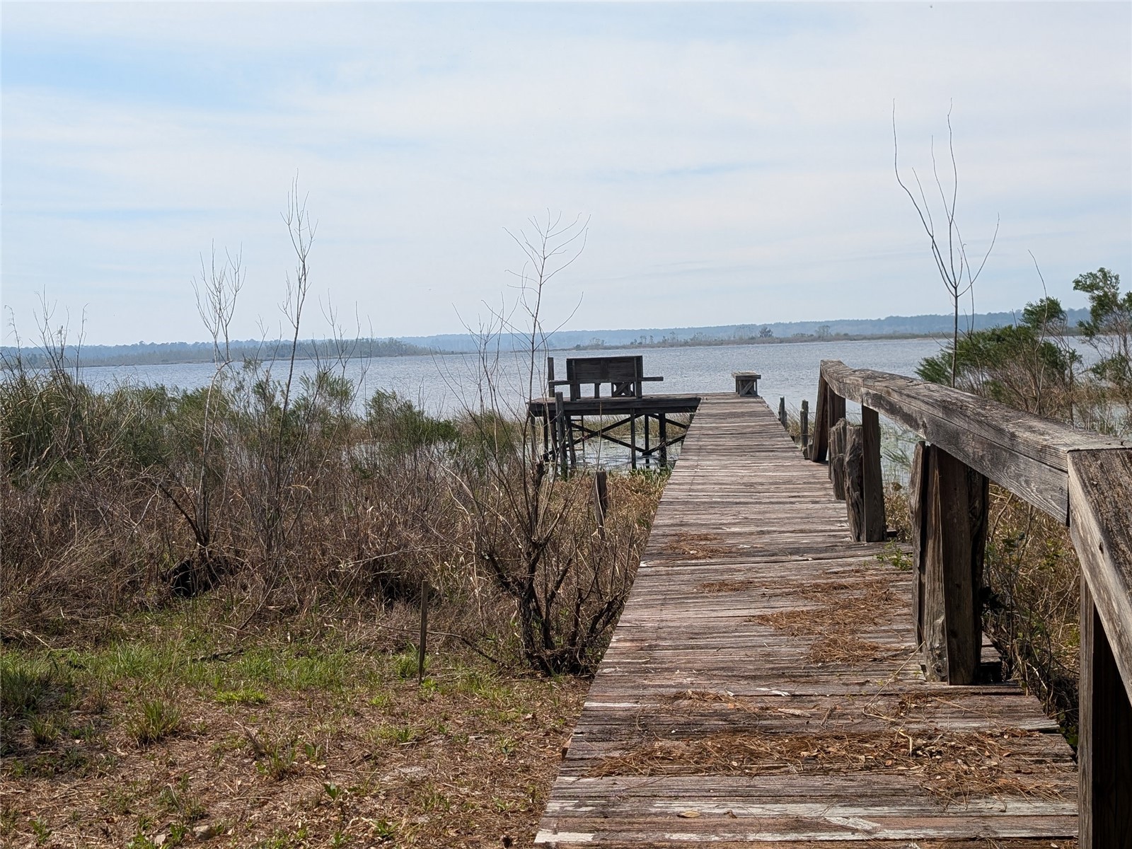 23797 NE 189th Street Fort Mc Coy FL 32134 - LAKE DELANCY OM722214 image88