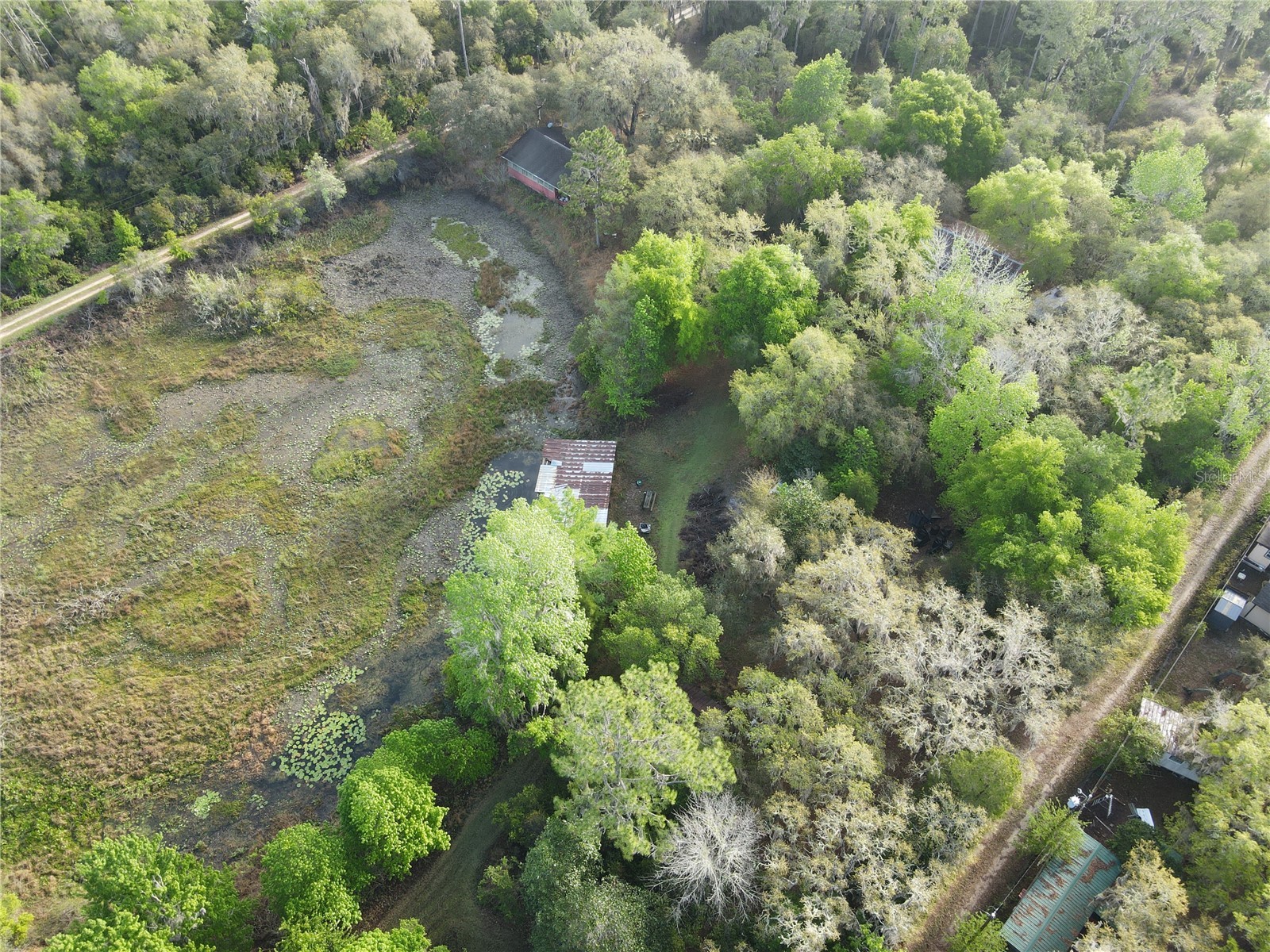 23797 NE 189th Street Fort Mc Coy FL 32134 - LAKE DELANCY OM722214 image89