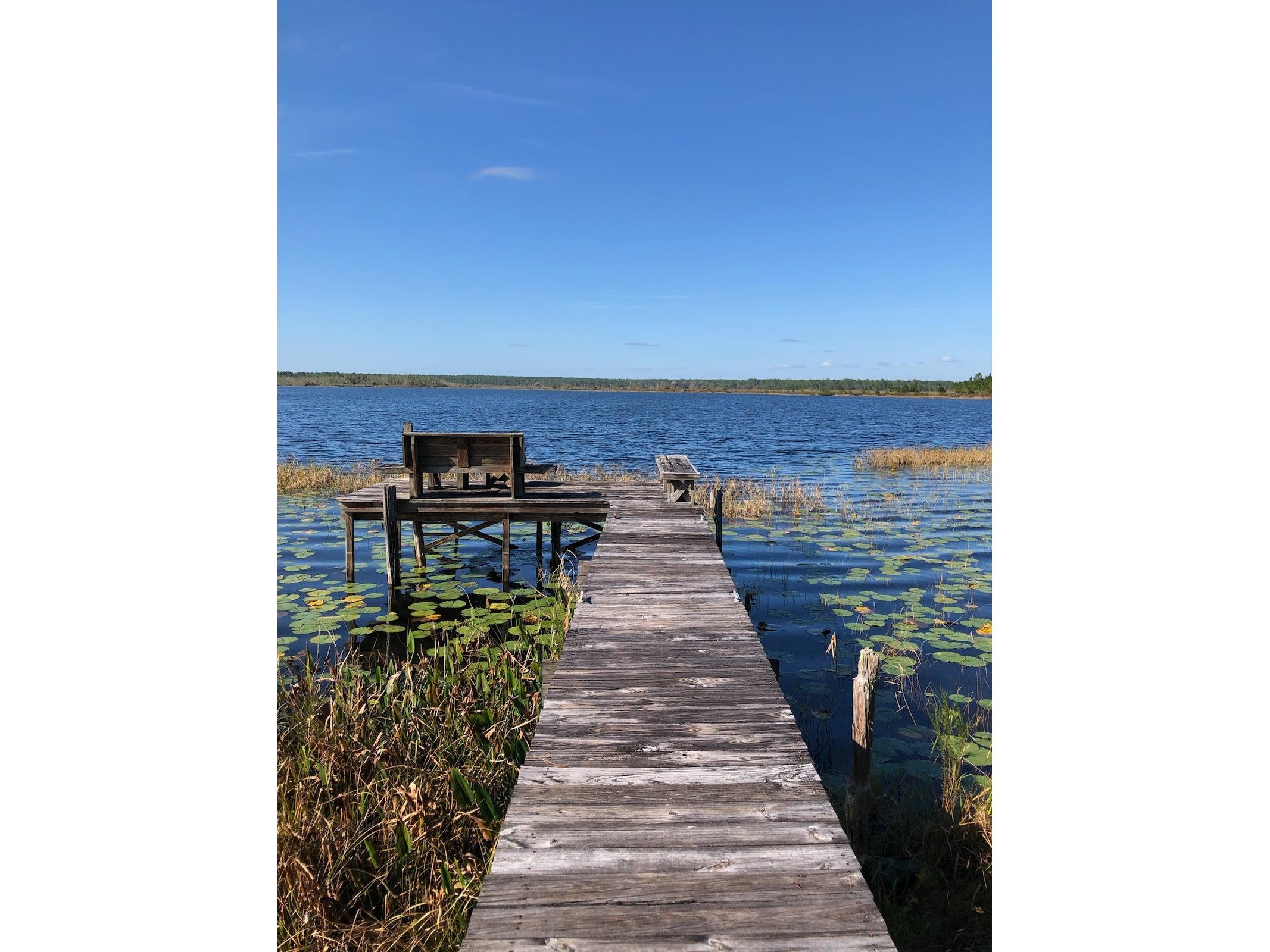 23797 NE 189th Street Fort Mc Coy FL 32134 - LAKE DELANCY OM722214 image9