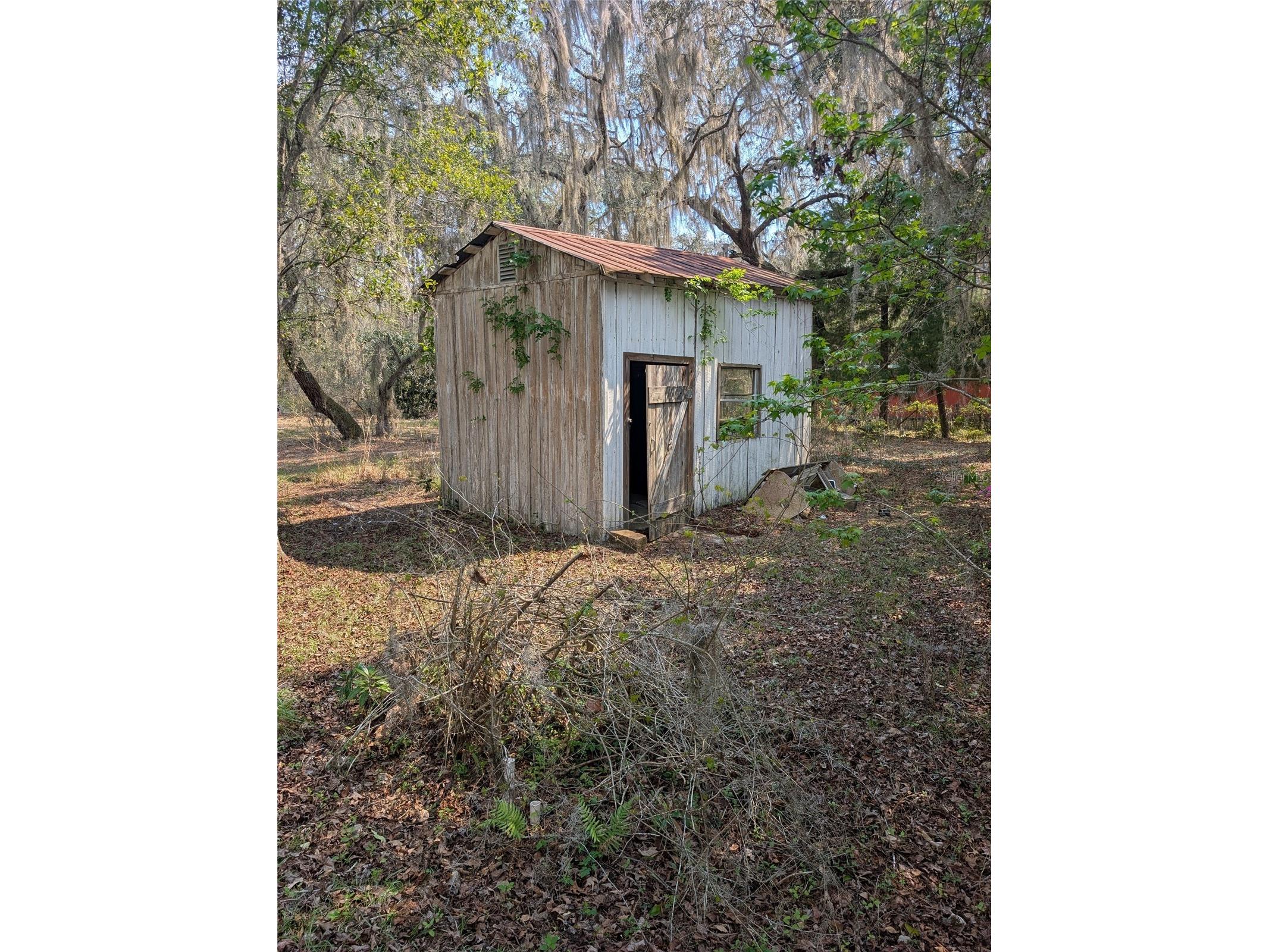 23797 NE 189th Street Fort Mc Coy FL 32134 - LAKE DELANCY OM722214 image90