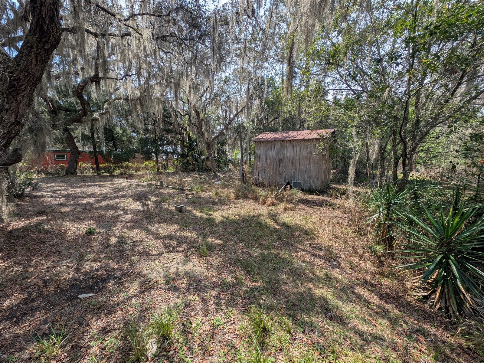 23797 NE 189th Street Fort Mc Coy FL 32134 - LAKE DELANCY OM722214 image92
