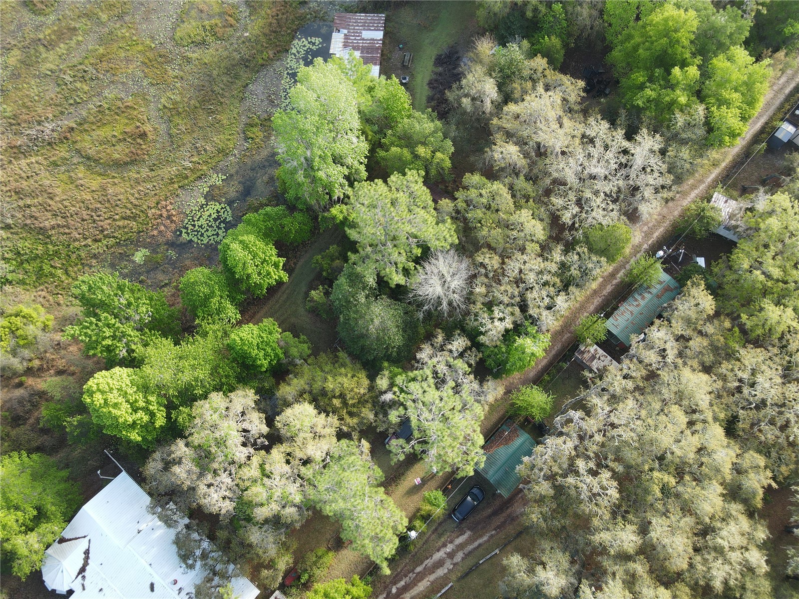 23797 NE 189th Street Fort Mc Coy FL 32134 - LAKE DELANCY OM722214 image94