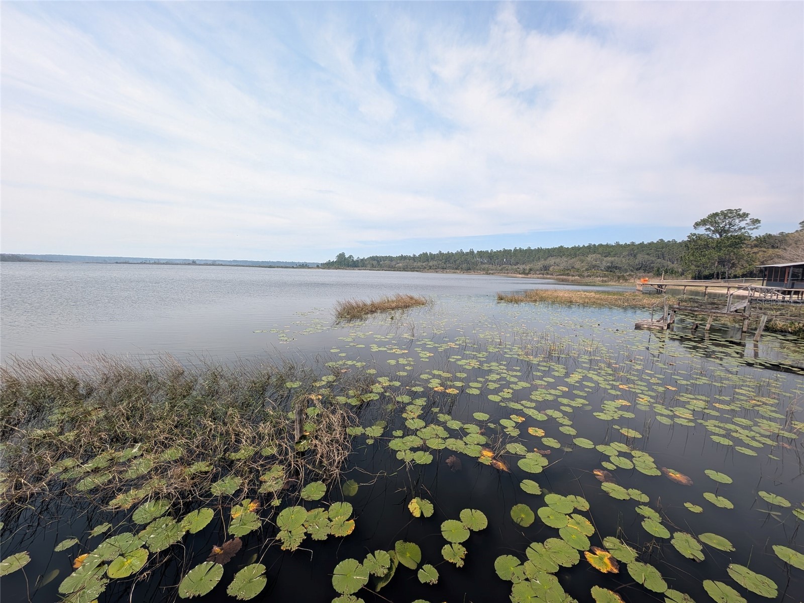 23797 NE 189th Street Fort Mc Coy FL 32134 - LAKE DELANCY OM722214 image95