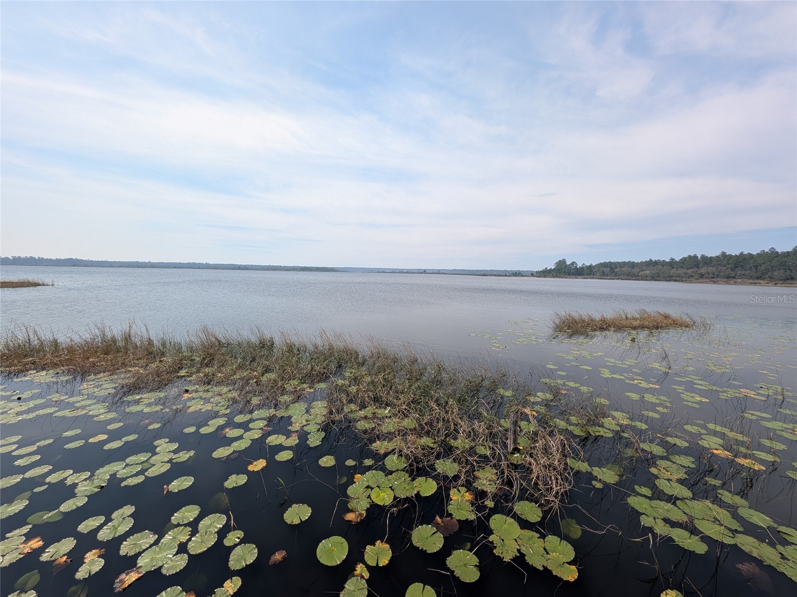 23797 NE 189th Street Fort Mc Coy FL 32134 - LAKE DELANCY OM722214 image96