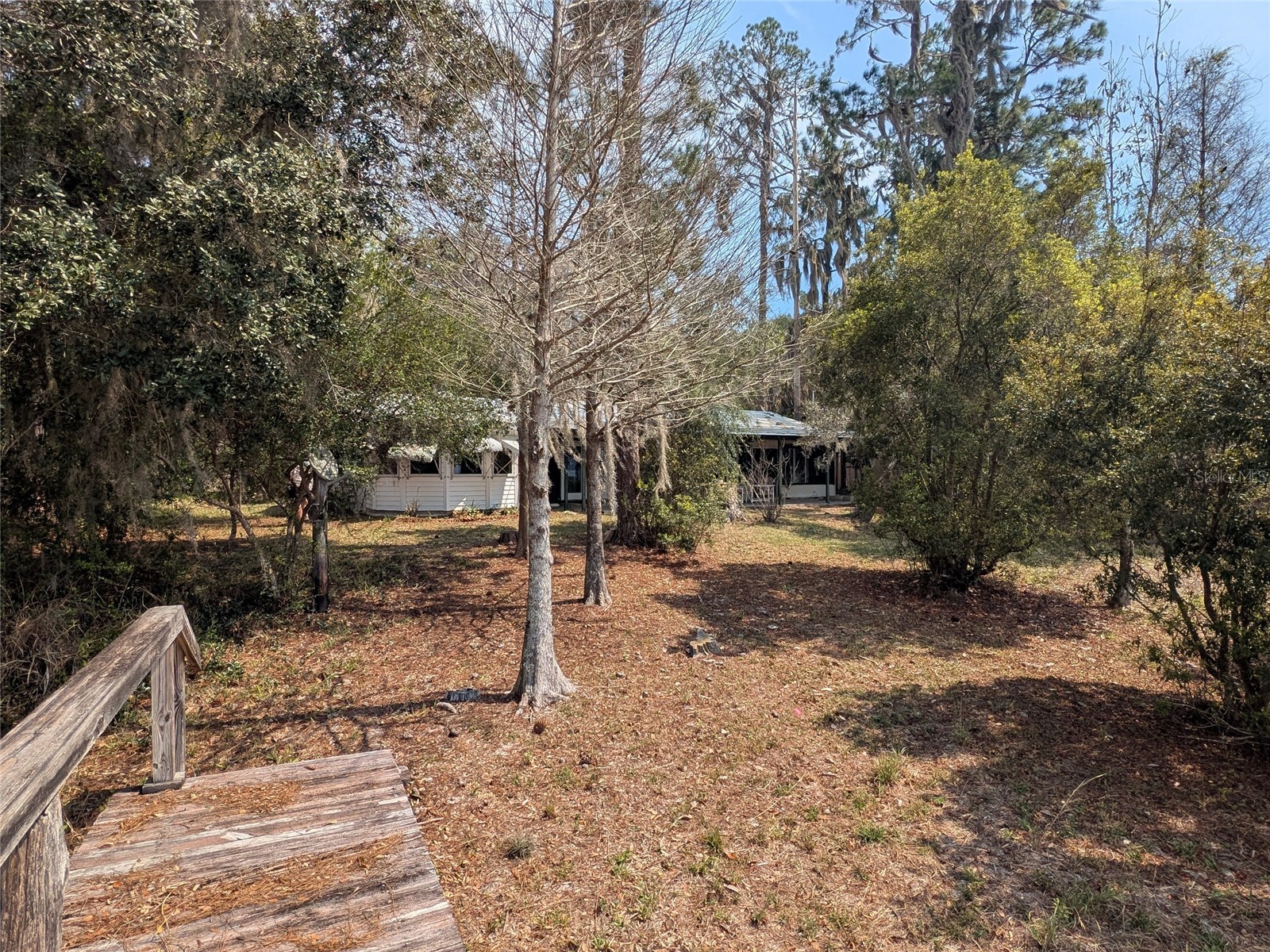 23797 NE 189th Street Fort Mc Coy FL 32134 - LAKE DELANCY OM722214 image99