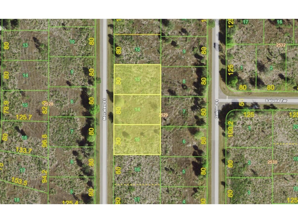 238 246 & 254 Morales Street Port Charlotte FL 33953 N6132300 image1