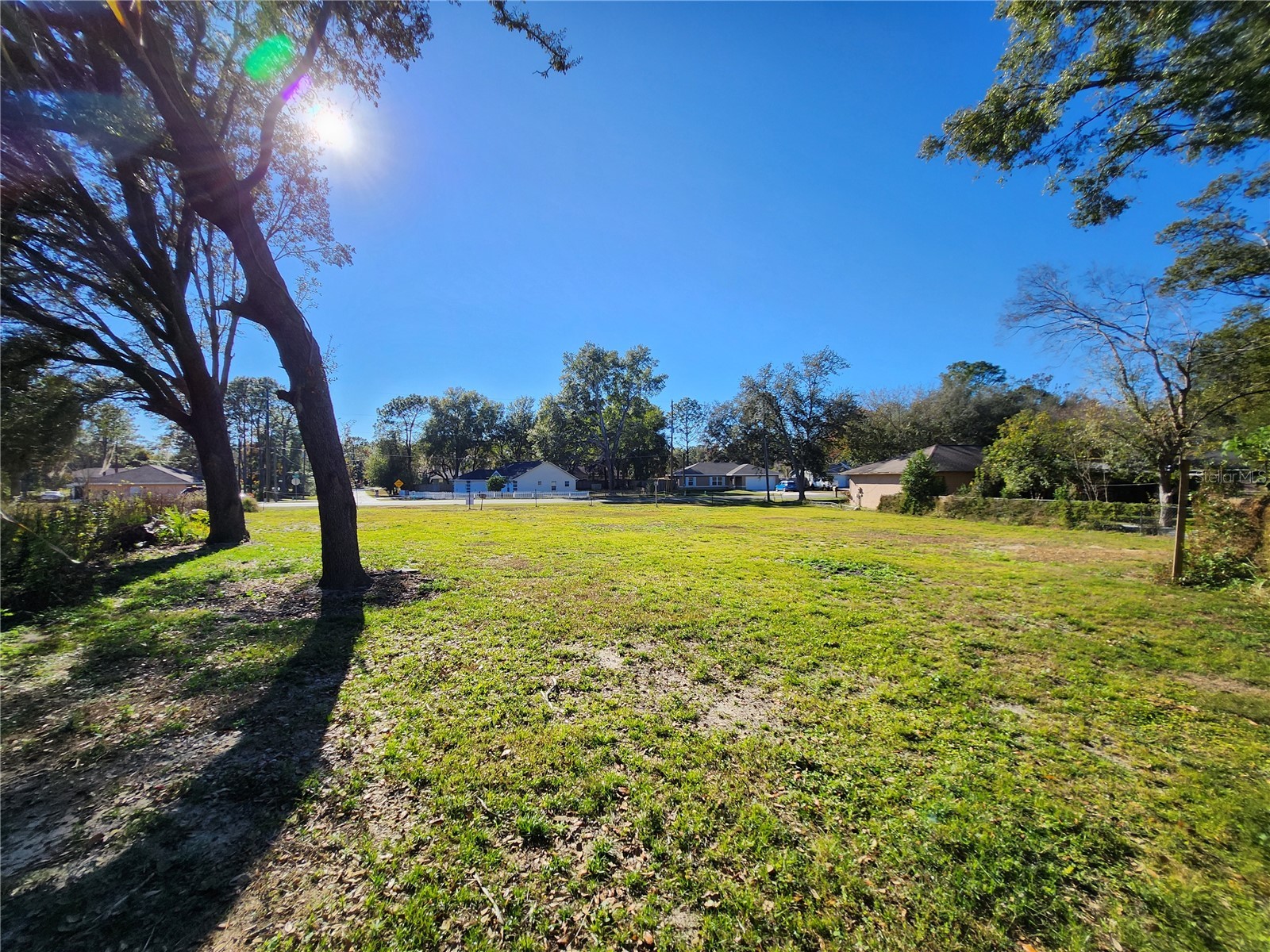 238 Bahia Circle Ocala FL 34472 OM716506 image13