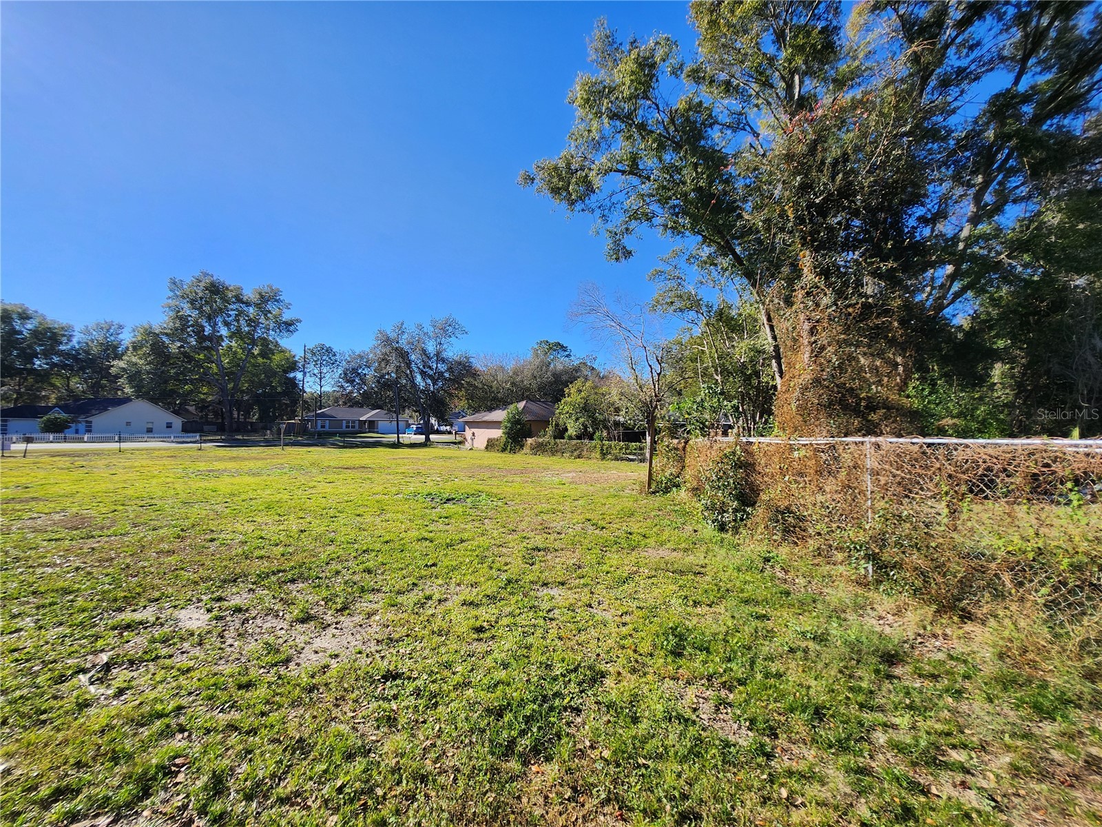 238 Bahia Circle Ocala FL 34472 OM716506 image14