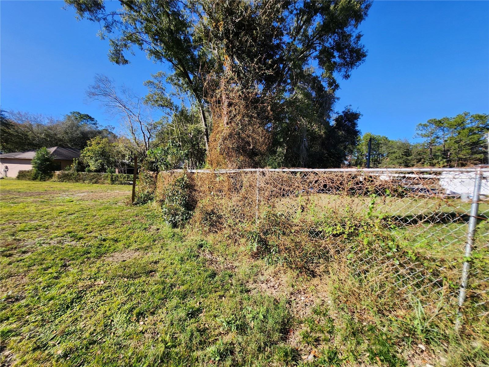 238 Bahia Circle Ocala FL 34472 OM716506 image15