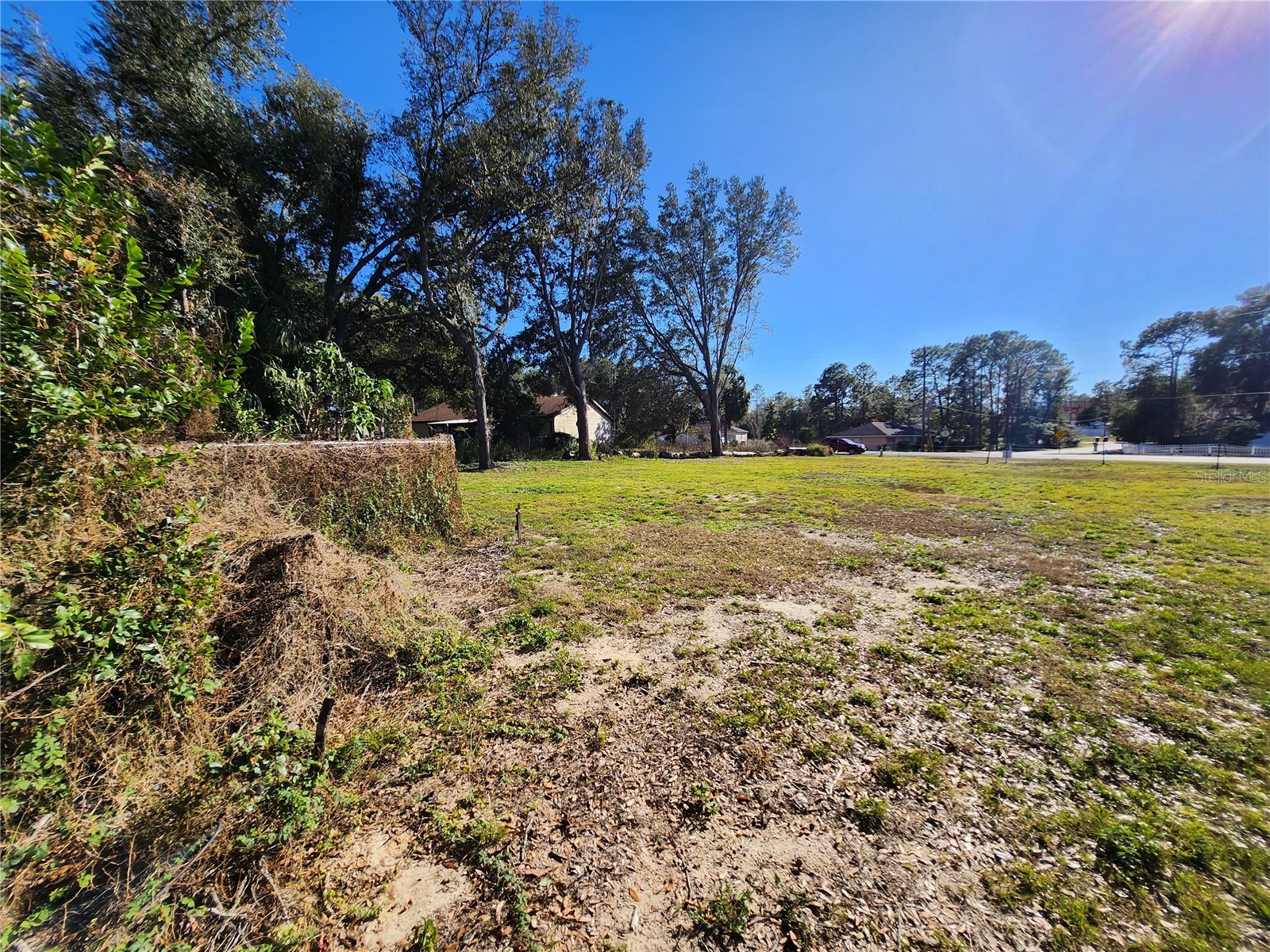 238 Bahia Circle Ocala FL 34472 OM716506 image16