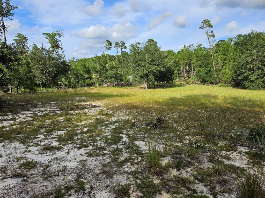 238 Cemetery Road Fort Mc Coy FL 32134 OM713820 image1