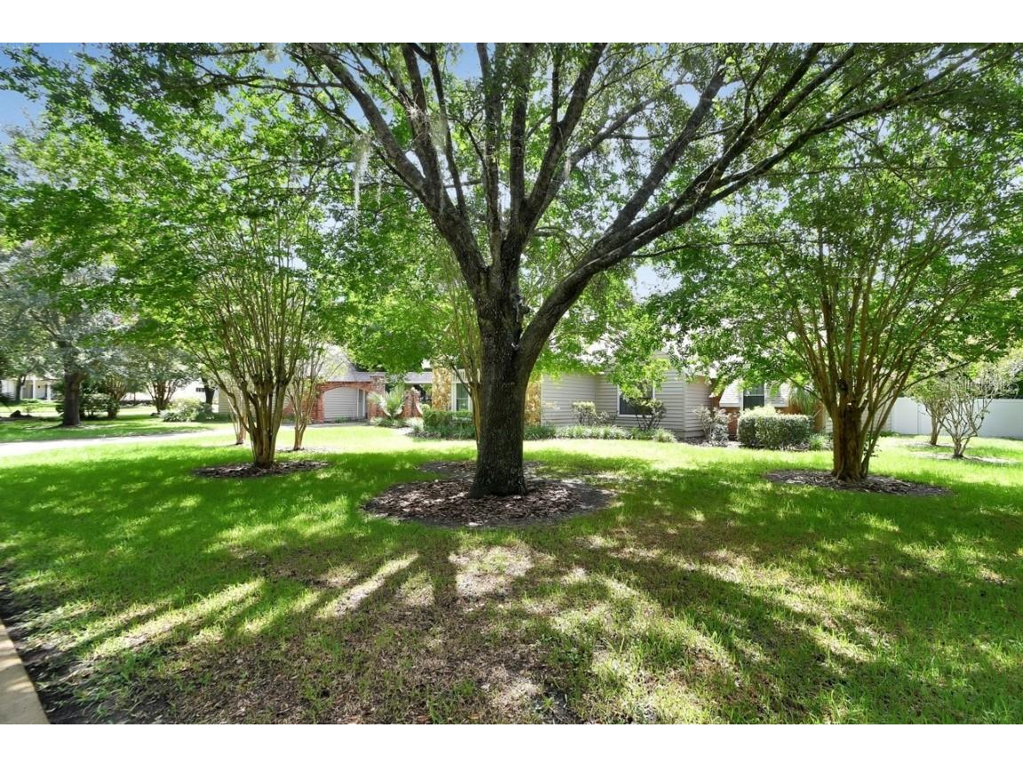 238 Crooked Tree Trail Deland FL 32724 V4941103 image37