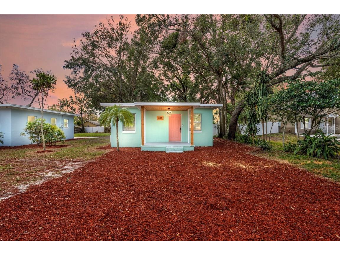 238 E Story Road Winter Garden FL 34787 T3420547 image1