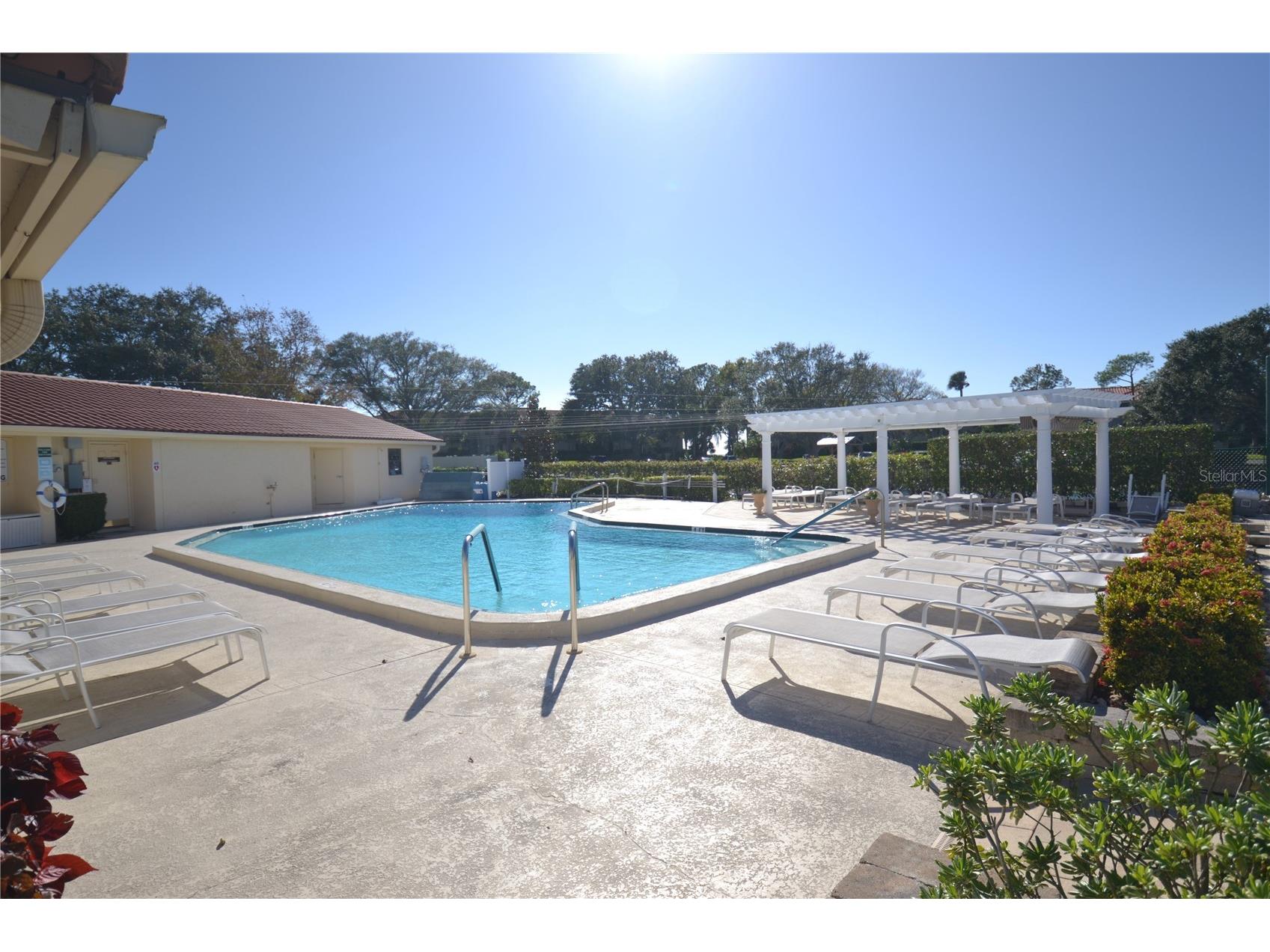 238 Mariner Drive Tarpon Springs FL 34689 TB8511278 image32