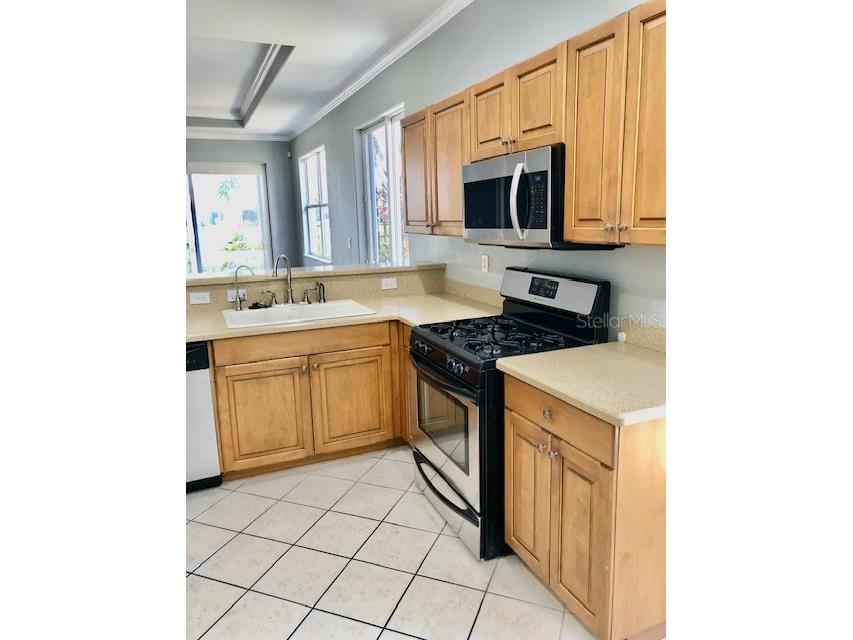 238 Mestre Place North Venice FL 34275 A4656924 image11