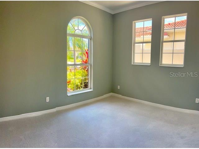 238 Mestre Place North Venice FL 34275 A4656924 image28