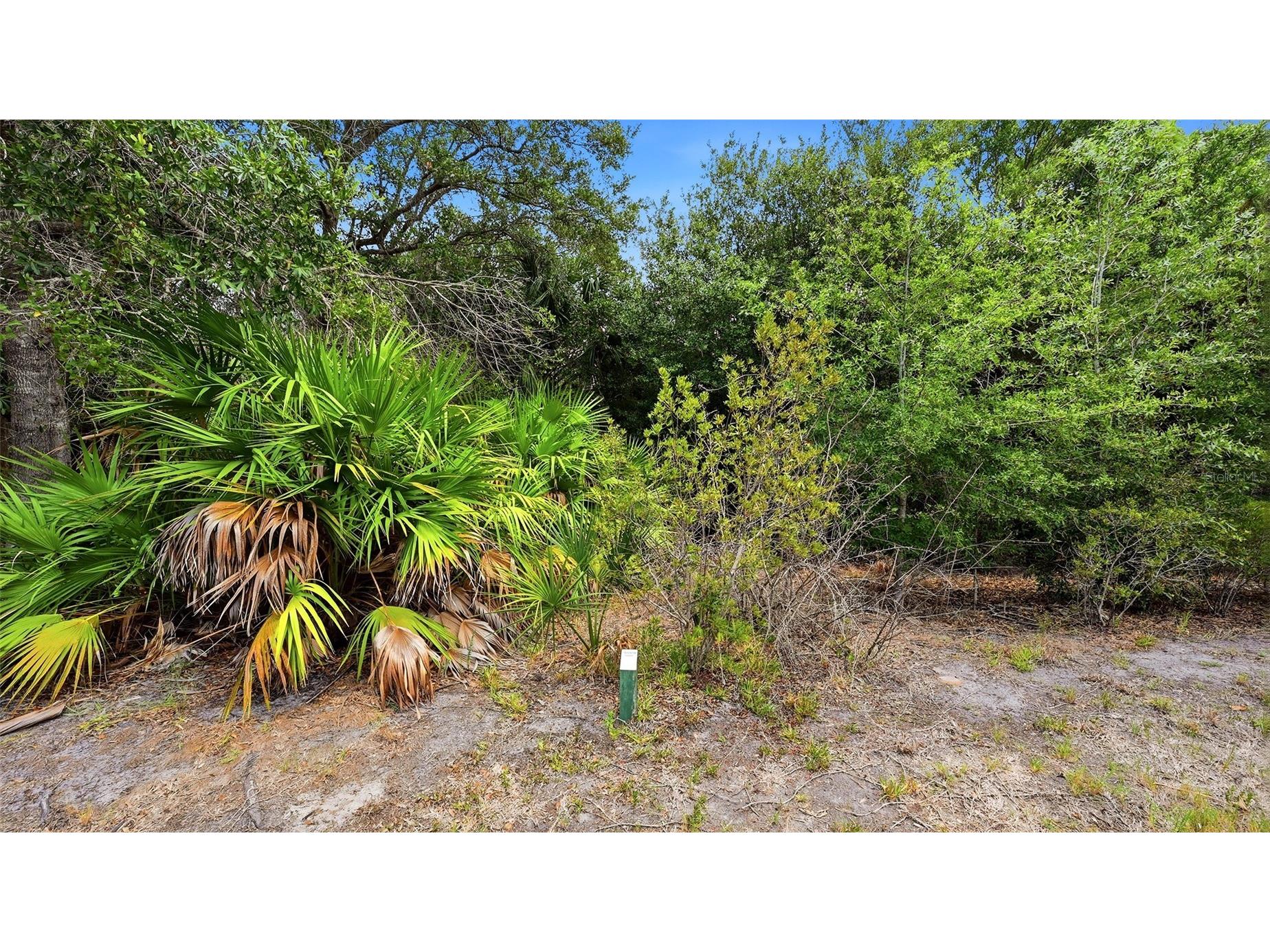 238 Vestavia Drive Venice FL 34292 N6144859 image32