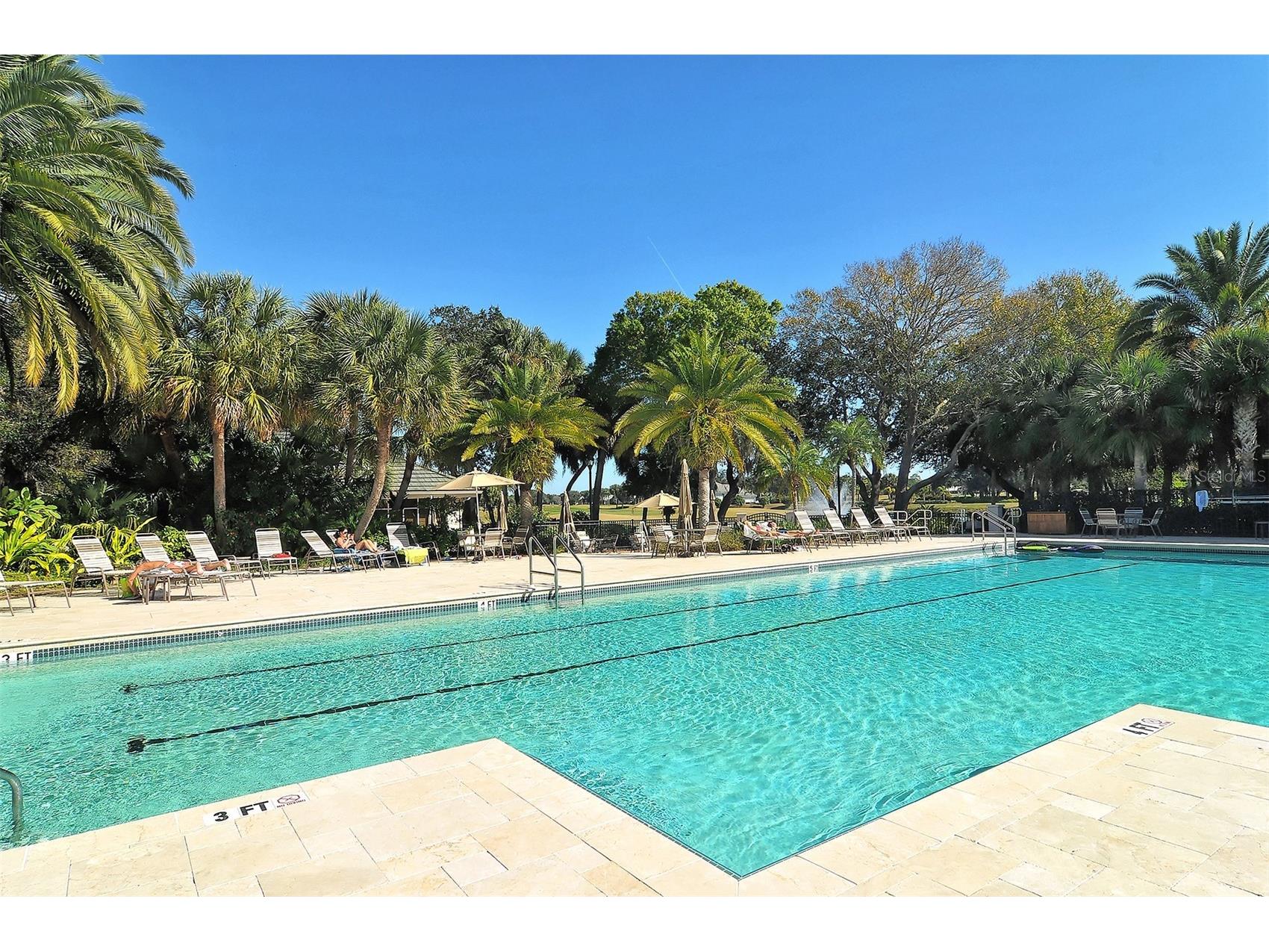 238 Vestavia Drive Venice FL 34292 N6144859 image46