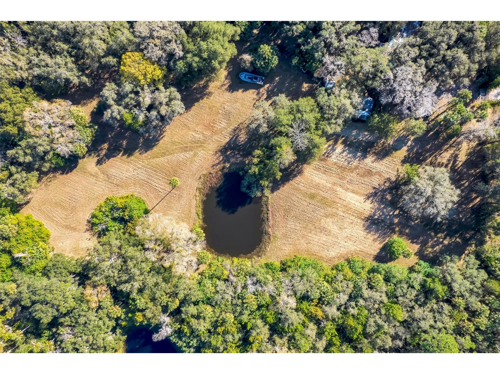 2380 Bass Boulevard Geneva FL 32732 O6365119 image1