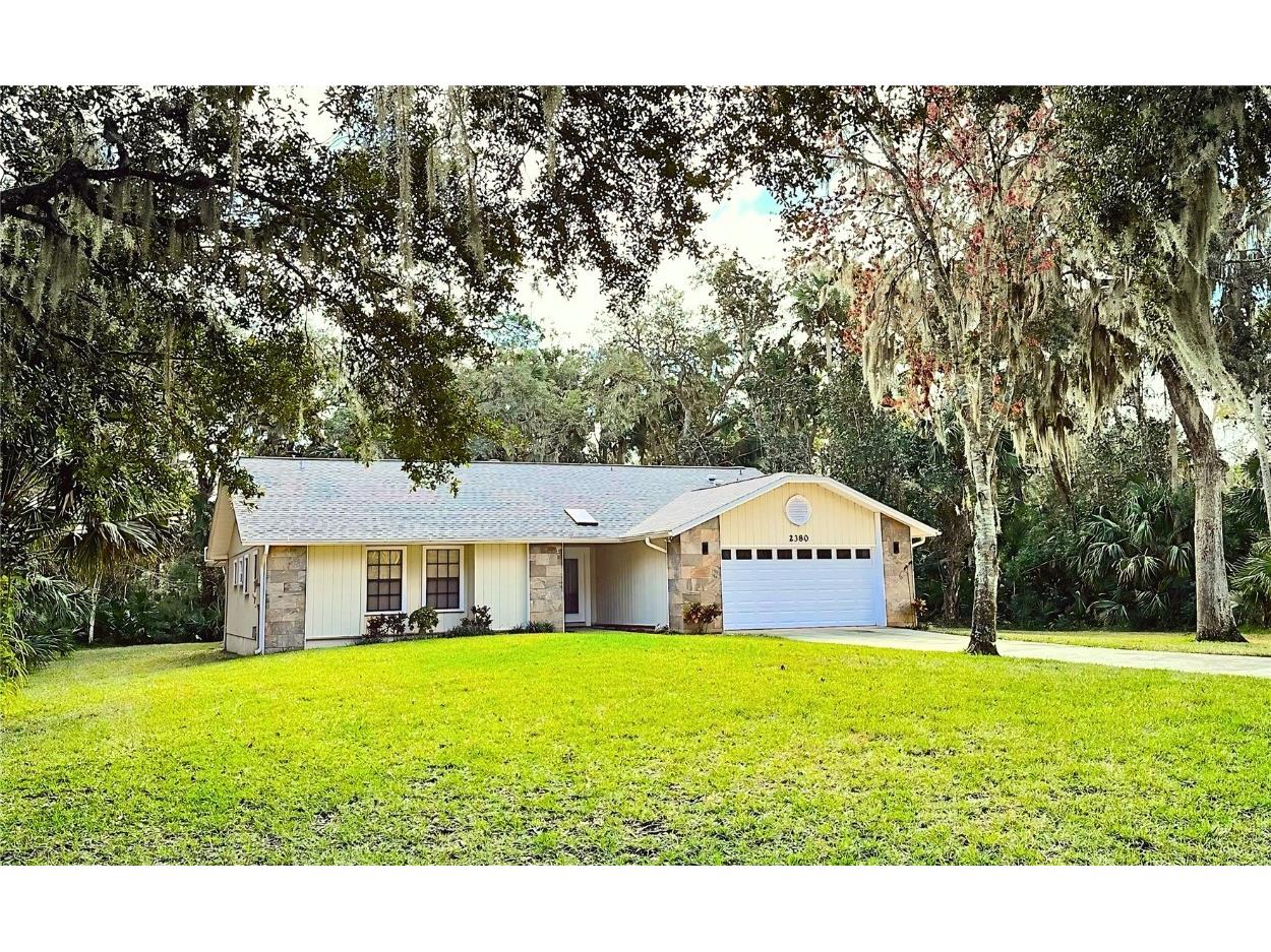 2380 Captain Butler Trail New Smyrna Beach FL 32168 NS1083933 image1