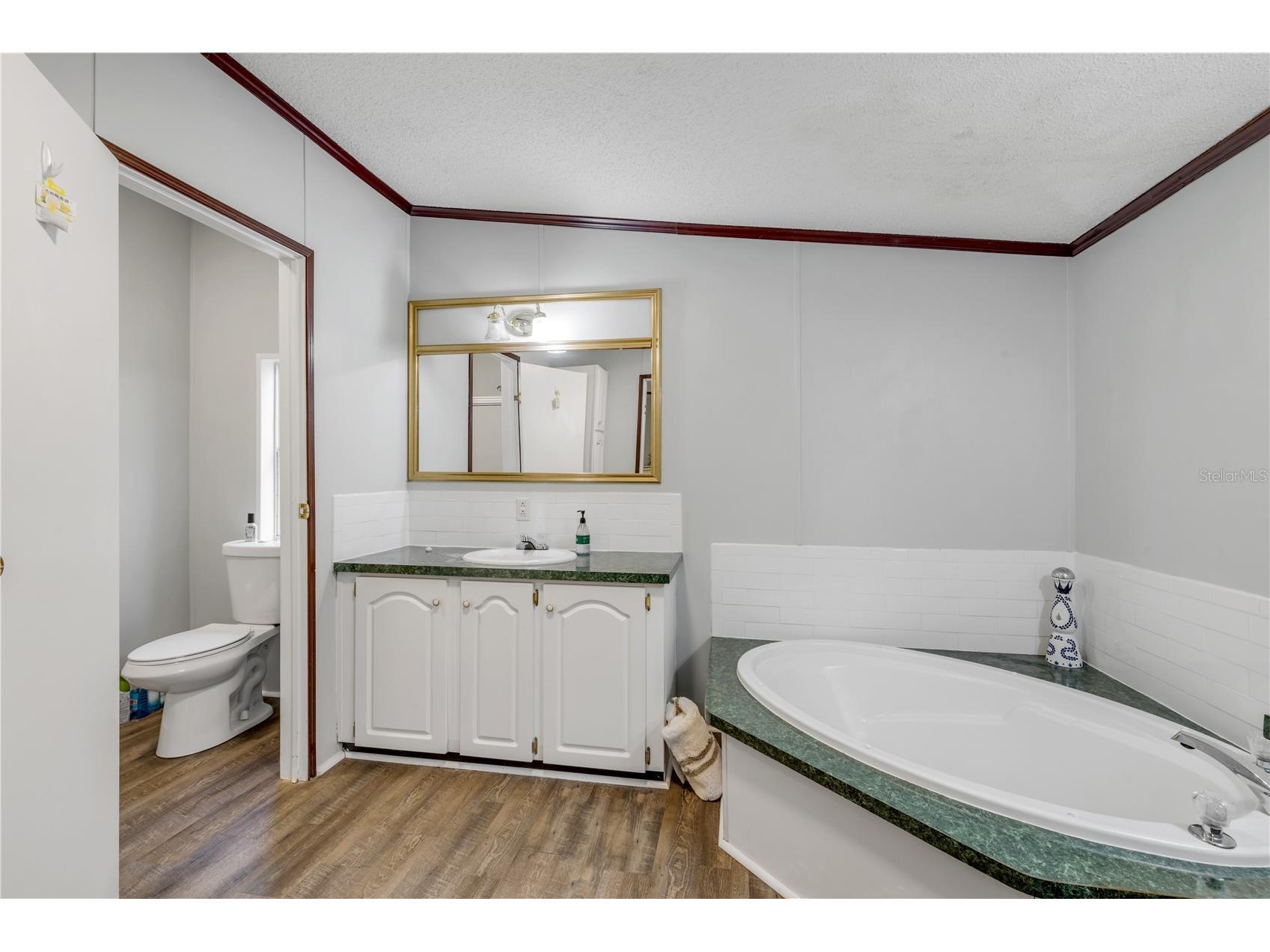 2380 Guava Drive Port Orange FL 32128 NS1088029 image35