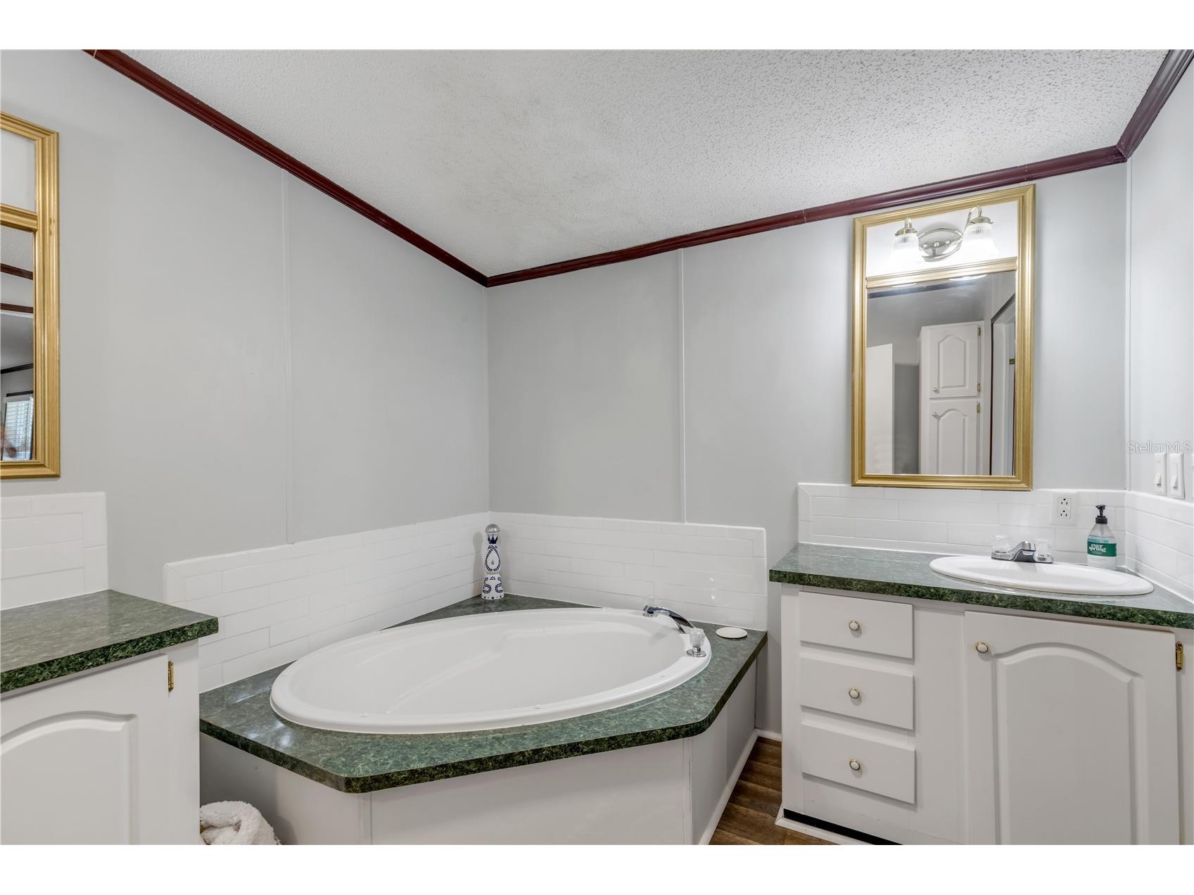 2380 Guava Drive Port Orange FL 32128 NS1088029 image36