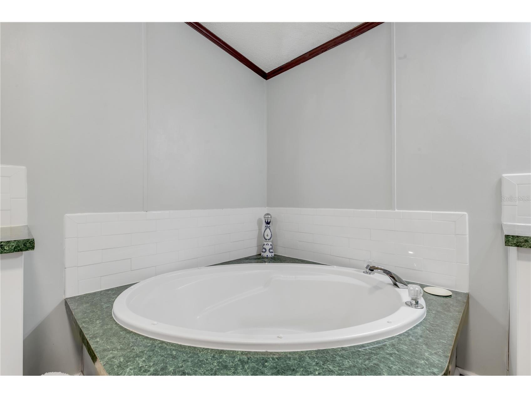 2380 Guava Drive Port Orange FL 32128 NS1088029 image37