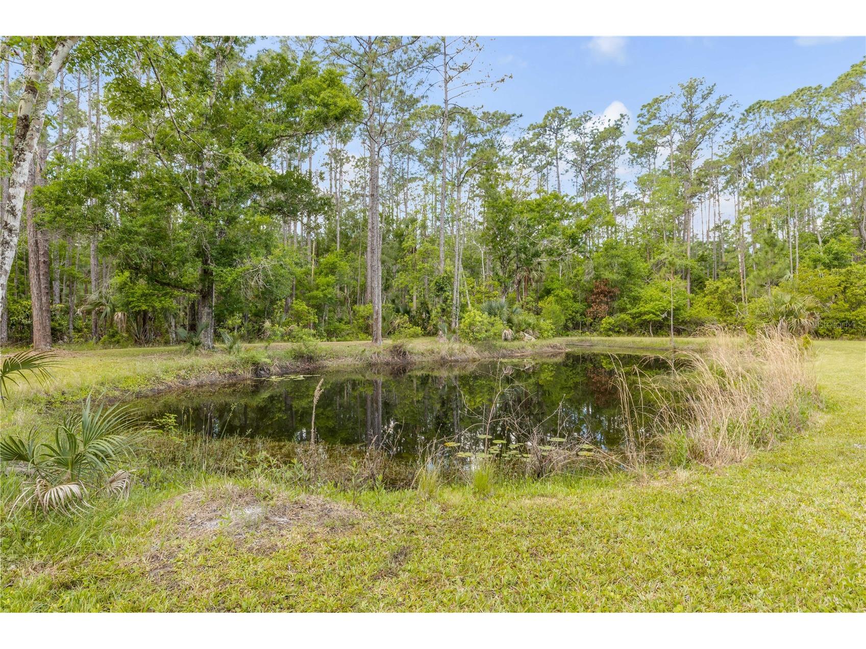 2380 Guava Drive Port Orange FL 32128 NS1088029 image53