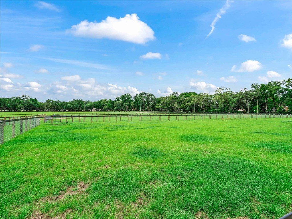 2380 NW 72nd Court Ocala FL 34482 OM702336 image38