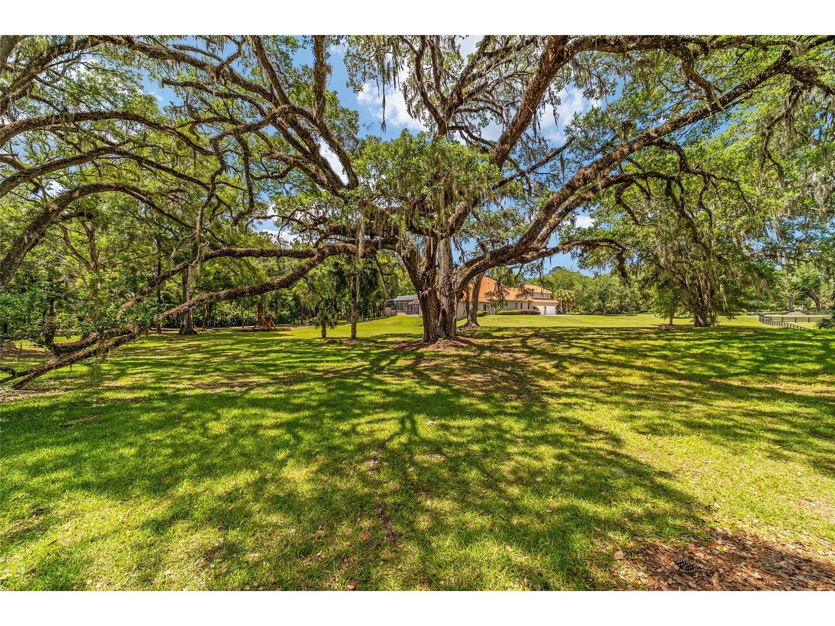 2380 SE 73rd Loop Ocala FL 34480 OM721435 image87